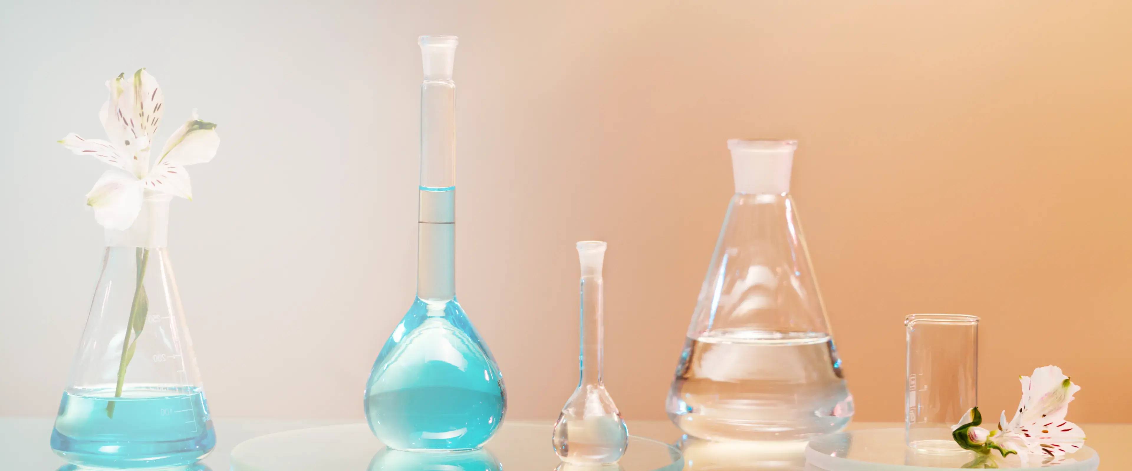 Product Development